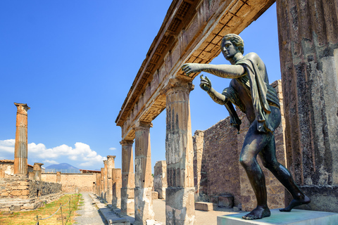 Napels of Sorrento: dagtocht naar Pompeï en de VesuviusVanuit Napels: groepstour in het Engels zonder lunch