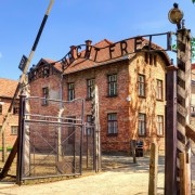Krakovasta: Auschwitz-Birkenaun opastettu kierros ja nouto