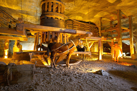 Wieliczka Salt Mine: Guided Tour from Krakow Skip-the-Line Ticket in French