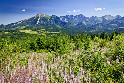 Zakopane: dagtour Tatragebergte vanuit Krakau3 uur in thermale baden