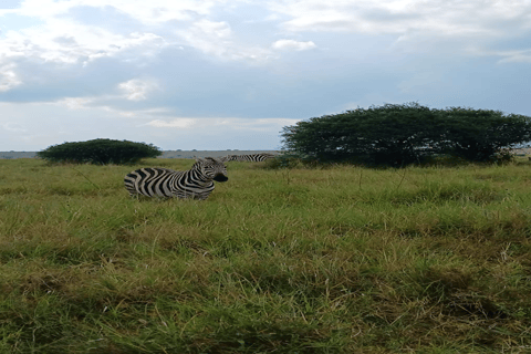 Tour di un giorno del Parco Nazionale di Nairobi e del Centro delle Giraffe