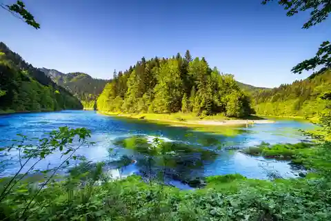 De Cracóvia: Excursão de rafting em madeira em Dunajec