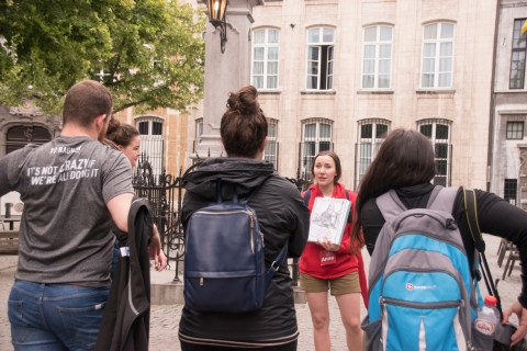 Antwerp: Private Historical Highlights Walking Tour Tour in Spanish