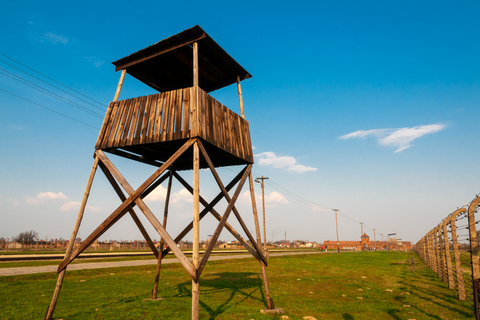 Kraków: Auschwitz-Birkenau &amp; Wieliczka saltgruva på dagstur