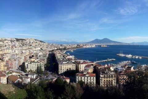 Naples: Full-Day City Tour with Pompeii and Sorrento Tour in Italian with Central Station Meeting Point