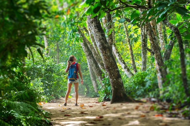 Puerto Limon: hoogtepunten Kustexcursie met Cahuita Park
