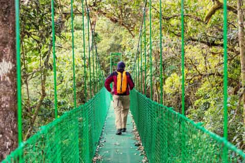 Puntarenas: Rainforest Skyway and Crocodile Boat Tour