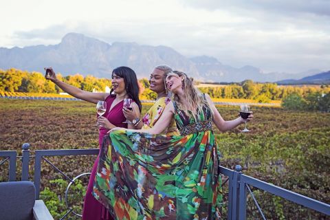 Cape Town: Half-Day Wineries and Tastings Tour