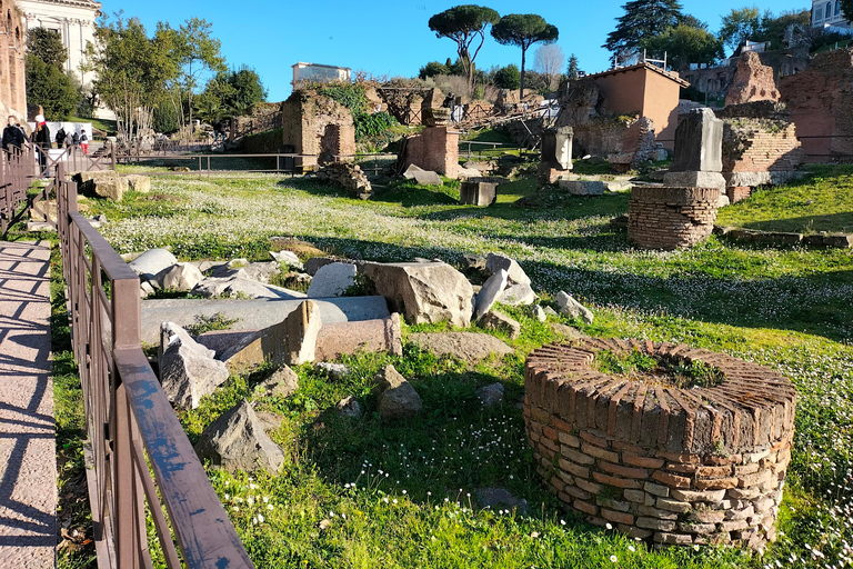 Roma: Fórum Romano e Monte Palatino: tour guiado com licença