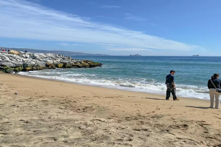 Check out the City Tour to Valparaíso and Viña Del Mar City Tour to Valparaíso and Viña Del Mar