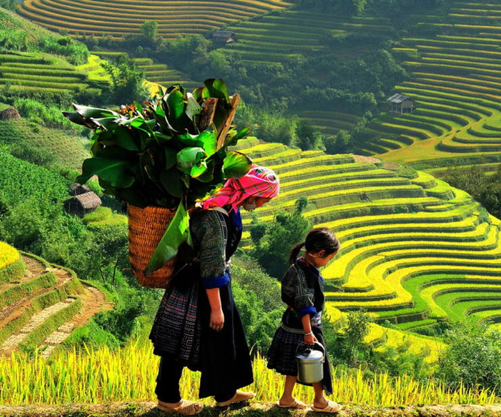 From Hanoi: 2-Day 2-Night Sapa Tour by Overnight Train