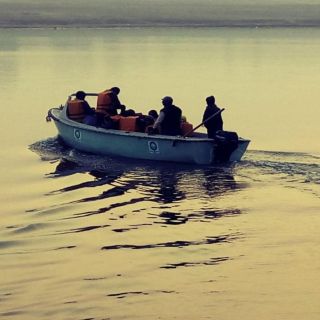 Chambal: Full-Day River Safari Tour from Agra
