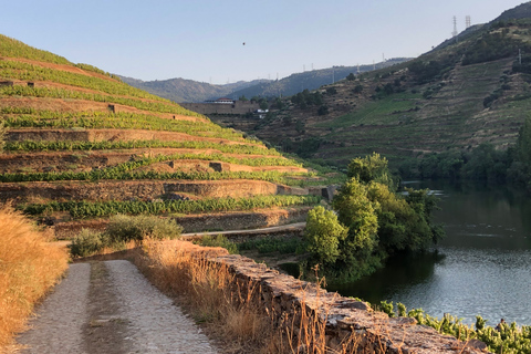 Dolina Douro: wycieczka po winnicy w Quinta do Tedo i degustacjeWycieczka po winnicy Quinta do Tedo i degustacja wina Tawny