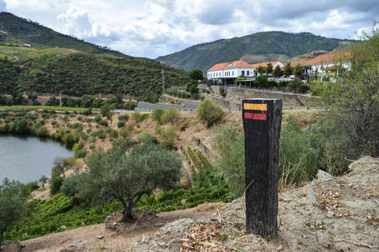 Dolina Douro: wycieczka po winnicy w Quinta do Tedo i degustacjeWycieczka po winnicy Quinta do Tedo i degustacja wina Tawny