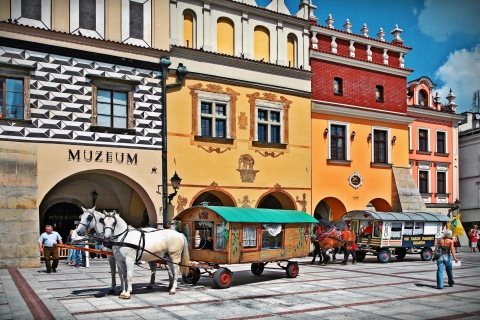Krakau: UNESCO-zoutmijn en landelijke Polen Tour