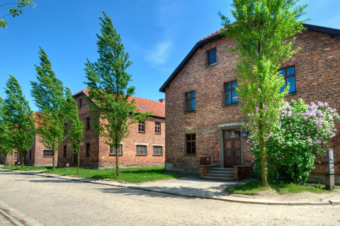 Krakow: Wieliczka Saltgruva och Auschwitz-Birkenau Tour