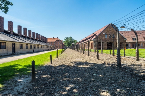 Krakow: Guided Auschwitz Birkenau Tour French Tour with Hotel Pickup and Lunch
