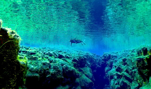 Reykjavik: snorkelen Silfrakloof & lavagrot