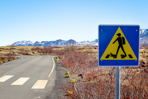 Reykjavík: Schnorcheln in der Silfra-Spalte und Lavahöhlen