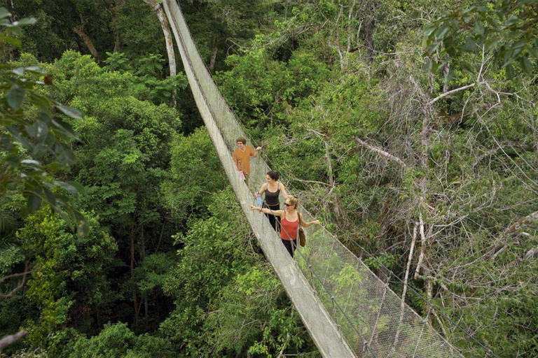 Iquitos: 5-Day Amazon Camp, Zipline & Jungle Tour