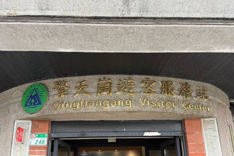 Taipei: tour guidato di Yangmingshan, Museo del Palazzo e Raohe