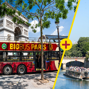 Paris: Big Bus Hop-on Hop-off Tour and Seine River Cruise