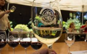 Santiago: Cousiño Macul Official Winery Tour with Tasting