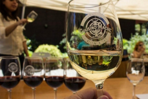 Santiago: Oficjalna wycieczka po winnicach Cousiño Macul z degustacjąPremium Cousiño Macul Vineyard Tour - Spanish