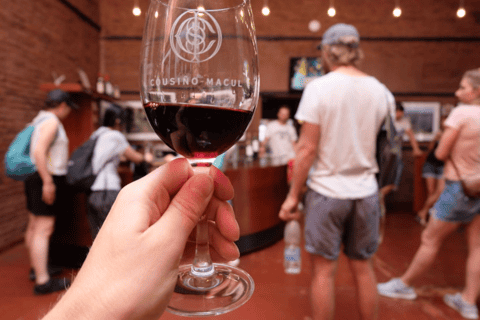 Santiago: Cousiño Macul Official Winery Tour with Tasting