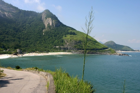 Rio: Sitio Burle Marx and Cachaça Distillery Private Tour Tour with Wild Beaches