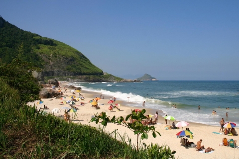 Rio: Sitio Burle Marx and Cachaça Distillery Private Tour Tour with Wild Beaches