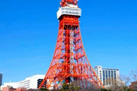 Tokyo one day private tour by car with English Driver