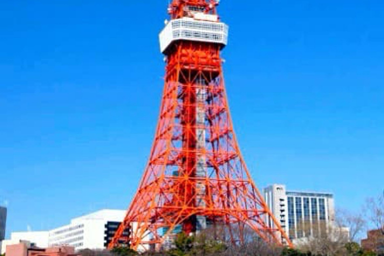 Tokyo one day private tour by car with English Driver