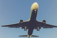 Auckland, Privat 1-Weg Transfer zum/vom Flughafen - Hizvo