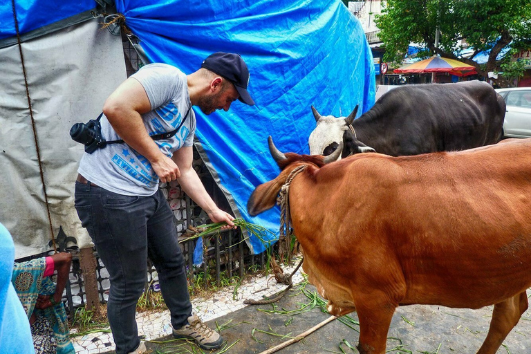 Mumbai: Ganztägige private maßgeschneiderte Tour6-stündige Tour mit Guide