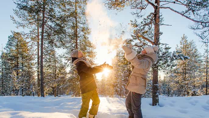 rovaniemi arctic experience instagram tour