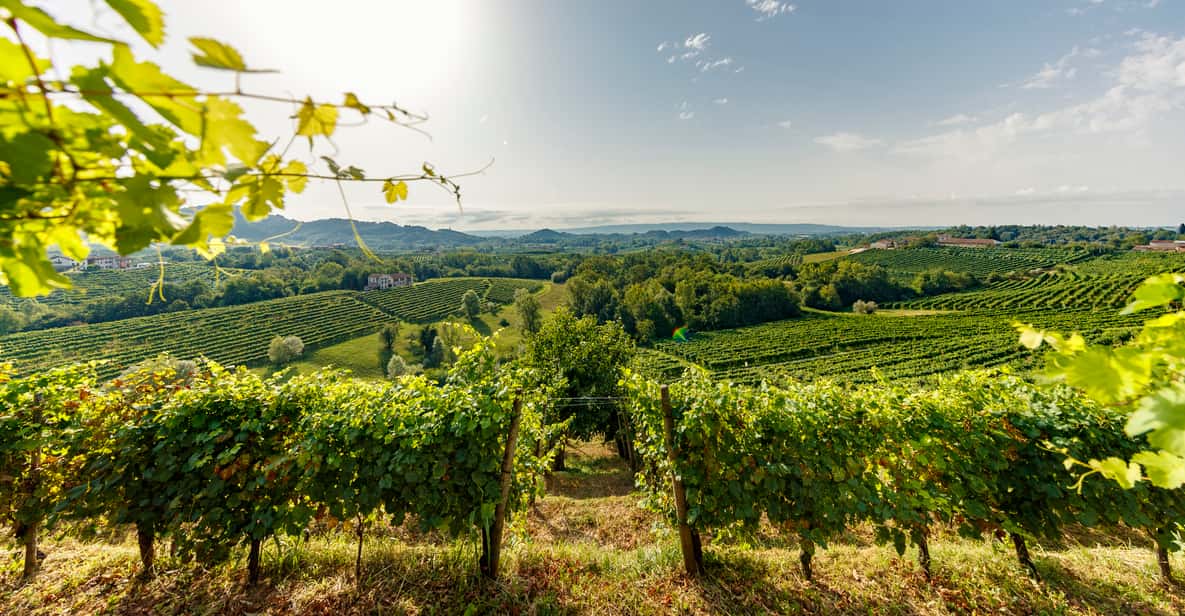 Valdobbiadene: Prosecco Tasting Experience