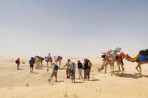突尼斯：3 日撒哈拉沙漠露营之旅