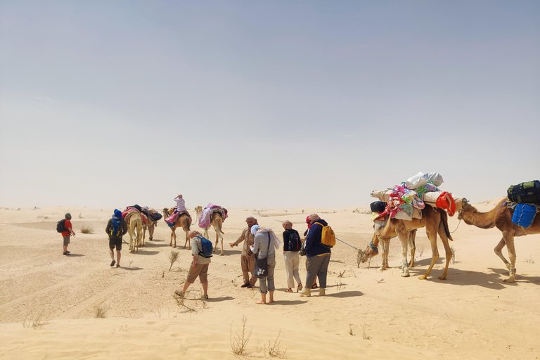 突尼斯：3 日撒哈拉沙漠露营之旅