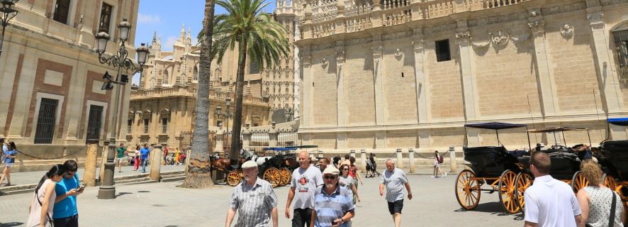 Seville: City Center Walking Tour