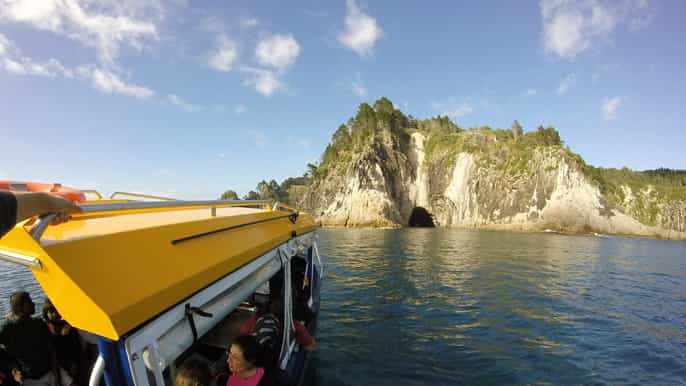 whitianga 2hour scenic glass bottom boat tour