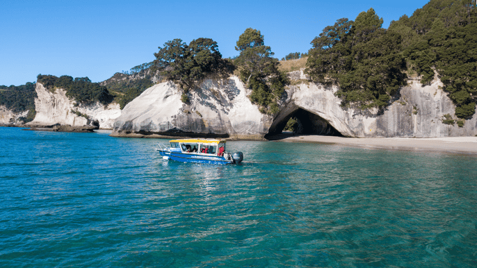 whitianga 2timers naturskøn glasbådtur