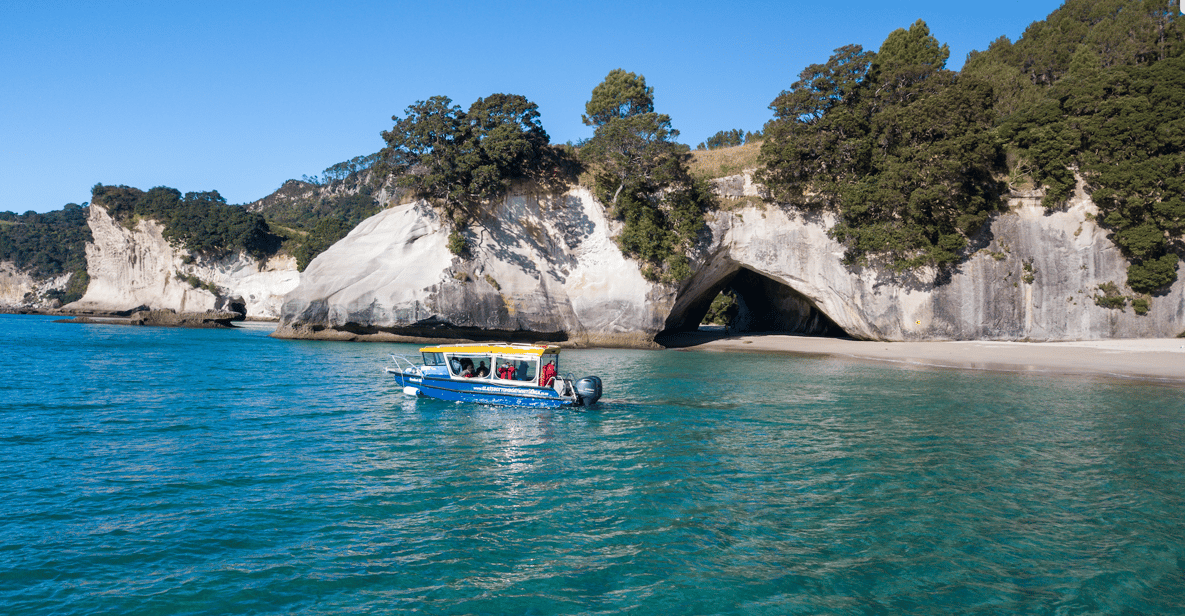 Whitianga: 2-Hour Scenic Glass Bottom Boat Tour