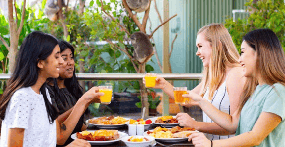 Breakfast with Koalas at WILD LIFE Zoo Darling Harbour