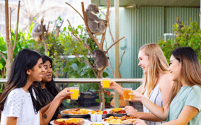 Breakfast with Koalas at WILD LIFE Zoo Darling Harbour