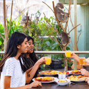 Breakfast with Koalas at WILD LIFE Zoo Darling Harbour