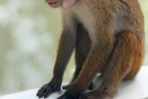Koggala Lake Guided Boat Safari with Hotel Pickup & Drop Off