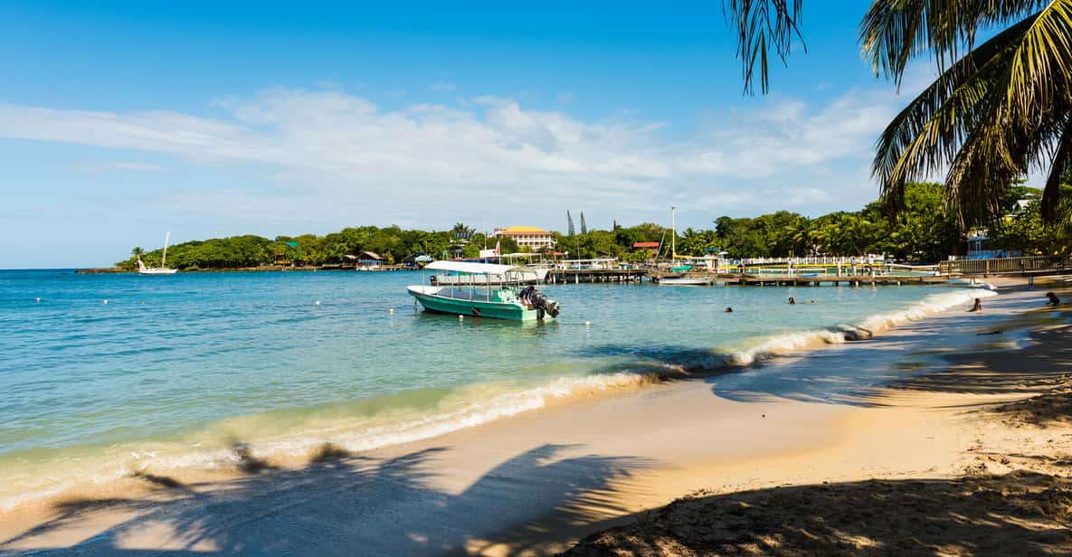 Roatán StadtbusTour und Strandpause GetYourGuide