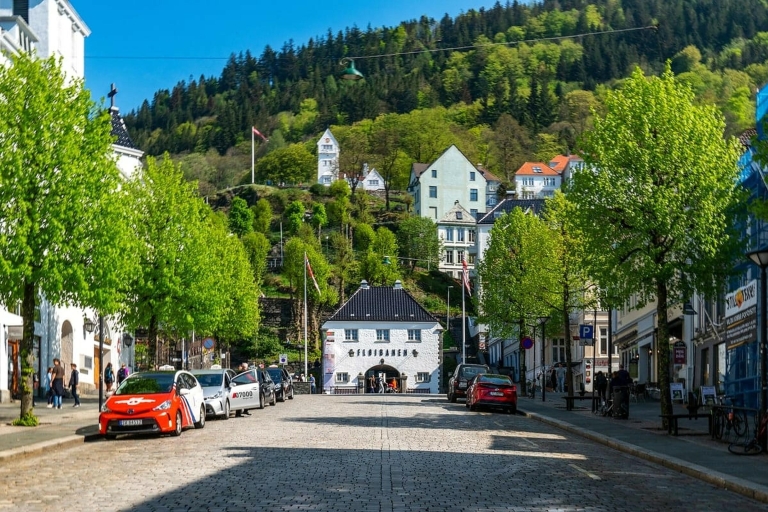 Bergen: stadsbezichtiging, fjordcruise en kabelbaan Mt Fløyen
