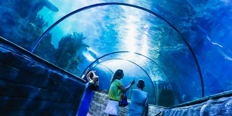 Baie de St. Paul : Billet d'entrée à l'aquarium national de Malte